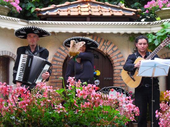 Optreden verzorgen, Mexico themafeest
